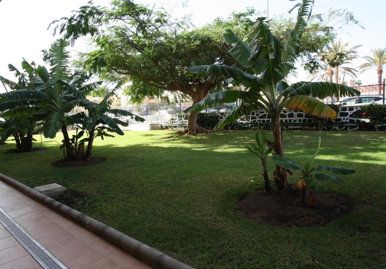 Fantastic Apartment With Sea Views Playa del Inglés Exteriör bild